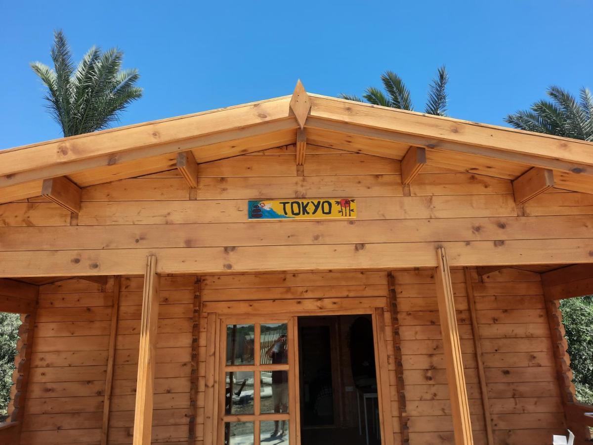 Cyprus Glamping Park Hotel Agios Theodoros Exterior photo