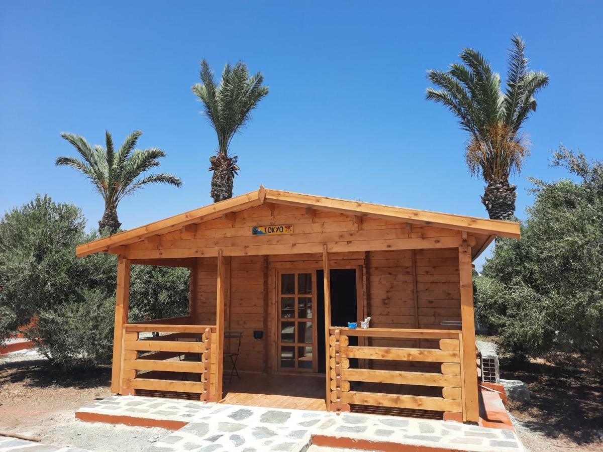 Cyprus Glamping Park Hotel Agios Theodoros Exterior photo