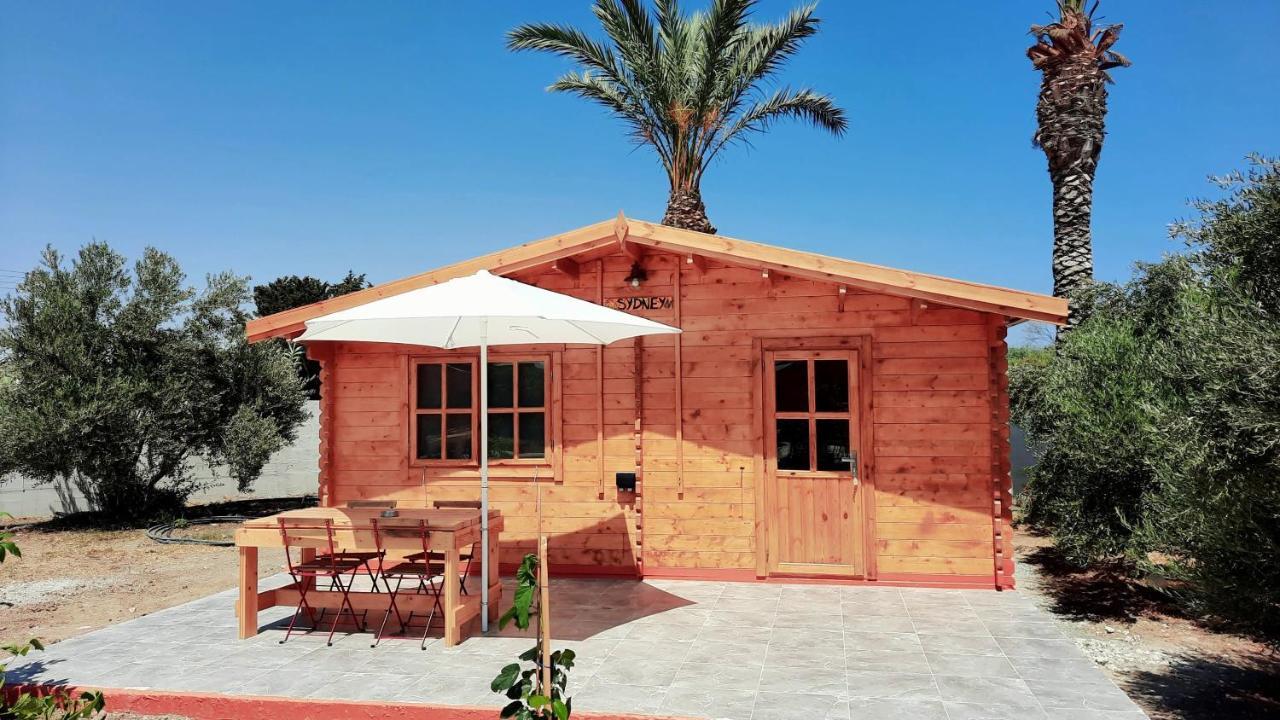 Cyprus Glamping Park Hotel Agios Theodoros Exterior photo
