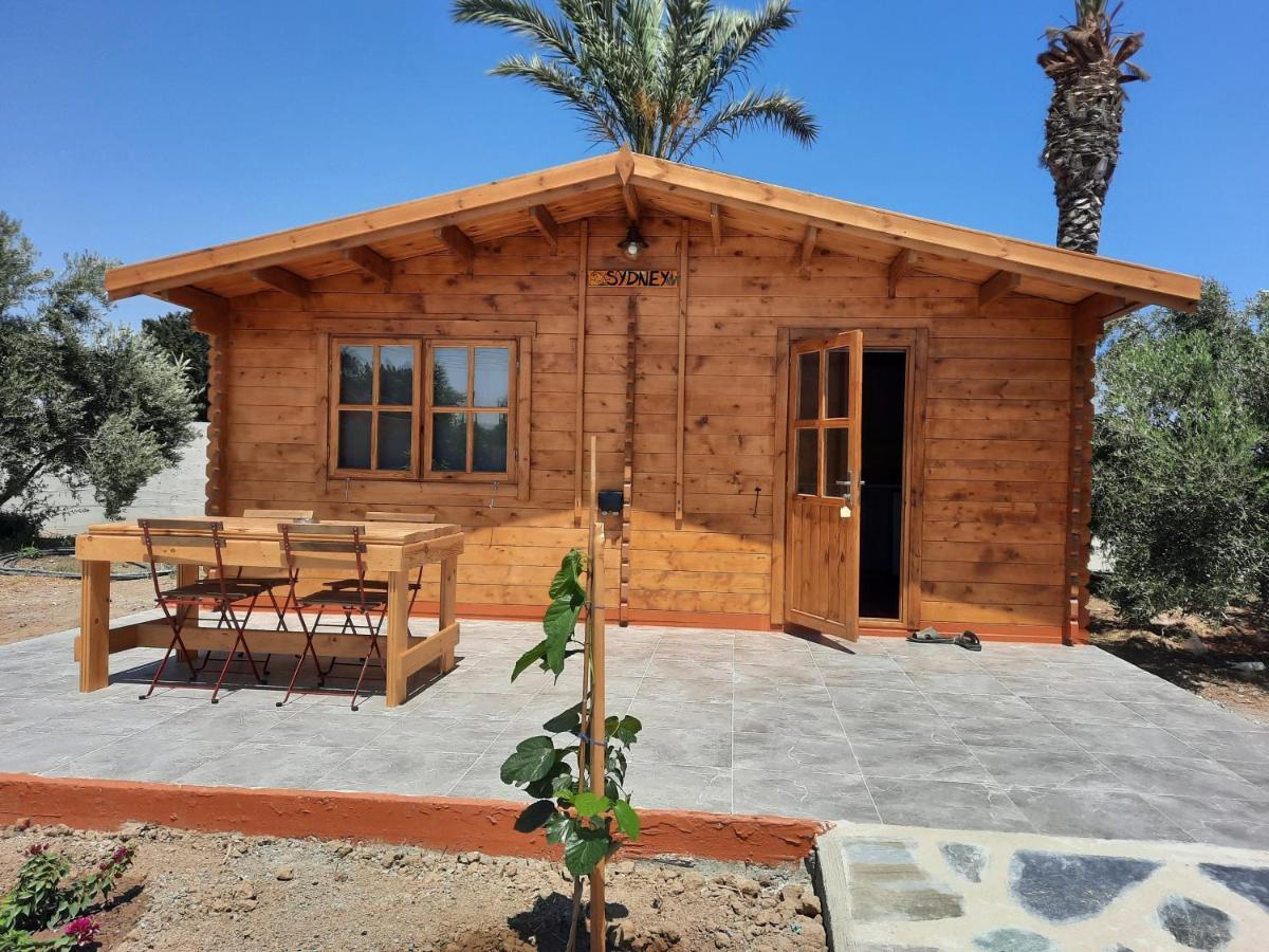 Cyprus Glamping Park Hotel Agios Theodoros Exterior photo